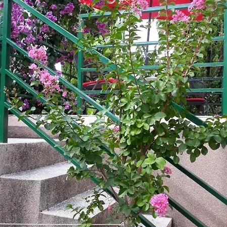 Mt Villa Posedarje