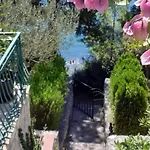 Mt